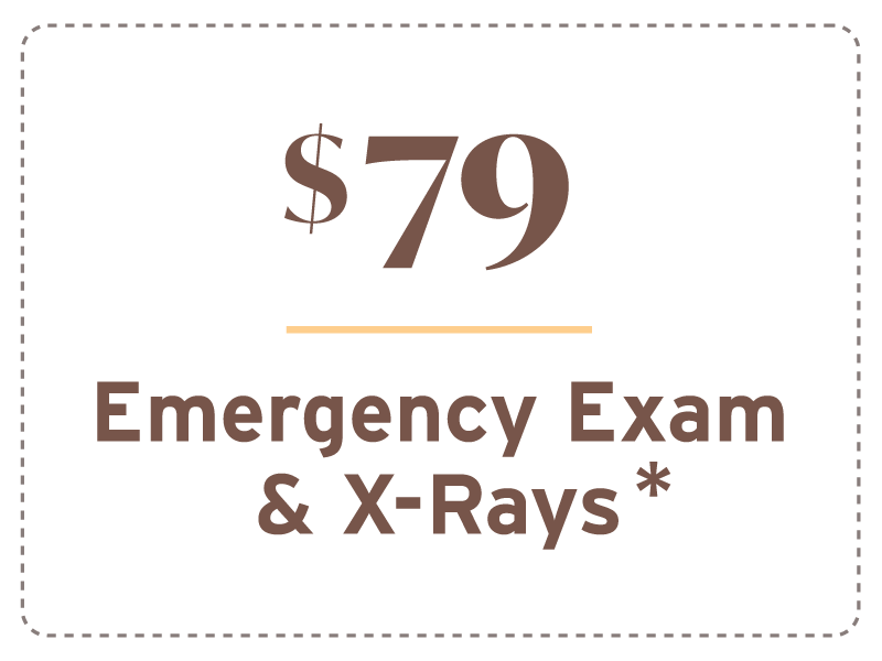 Emergency Exam Everett